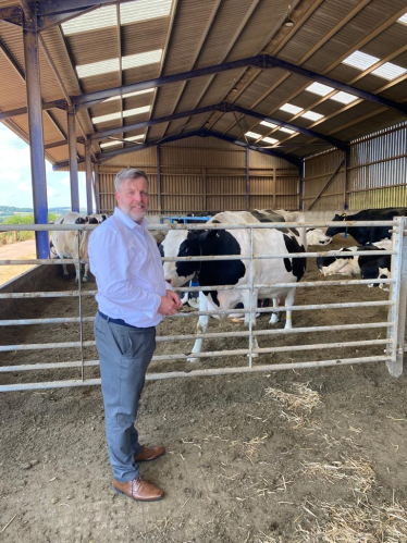 Finlay with cows 